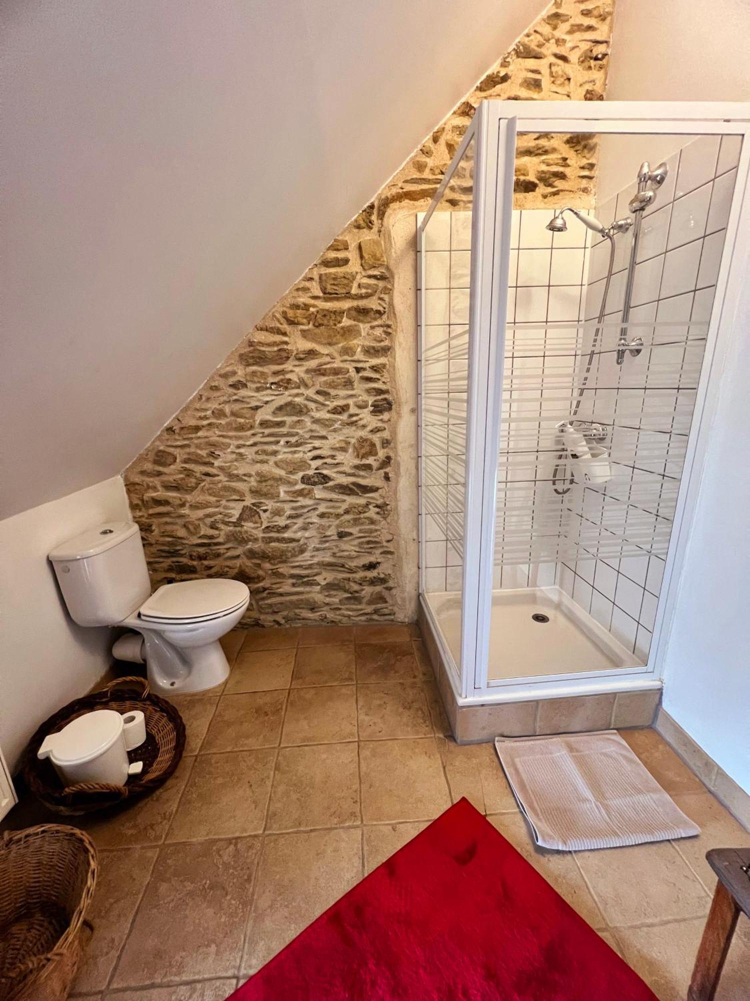 שאנטפי Appart' D'Hotes , Ch Et Gite Au Manoir De La Haute Pilais מראה חיצוני תמונה